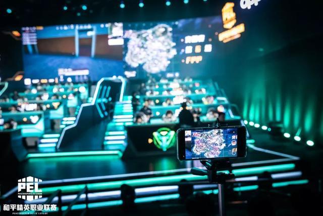 灰熊队的年 灰熊队的年